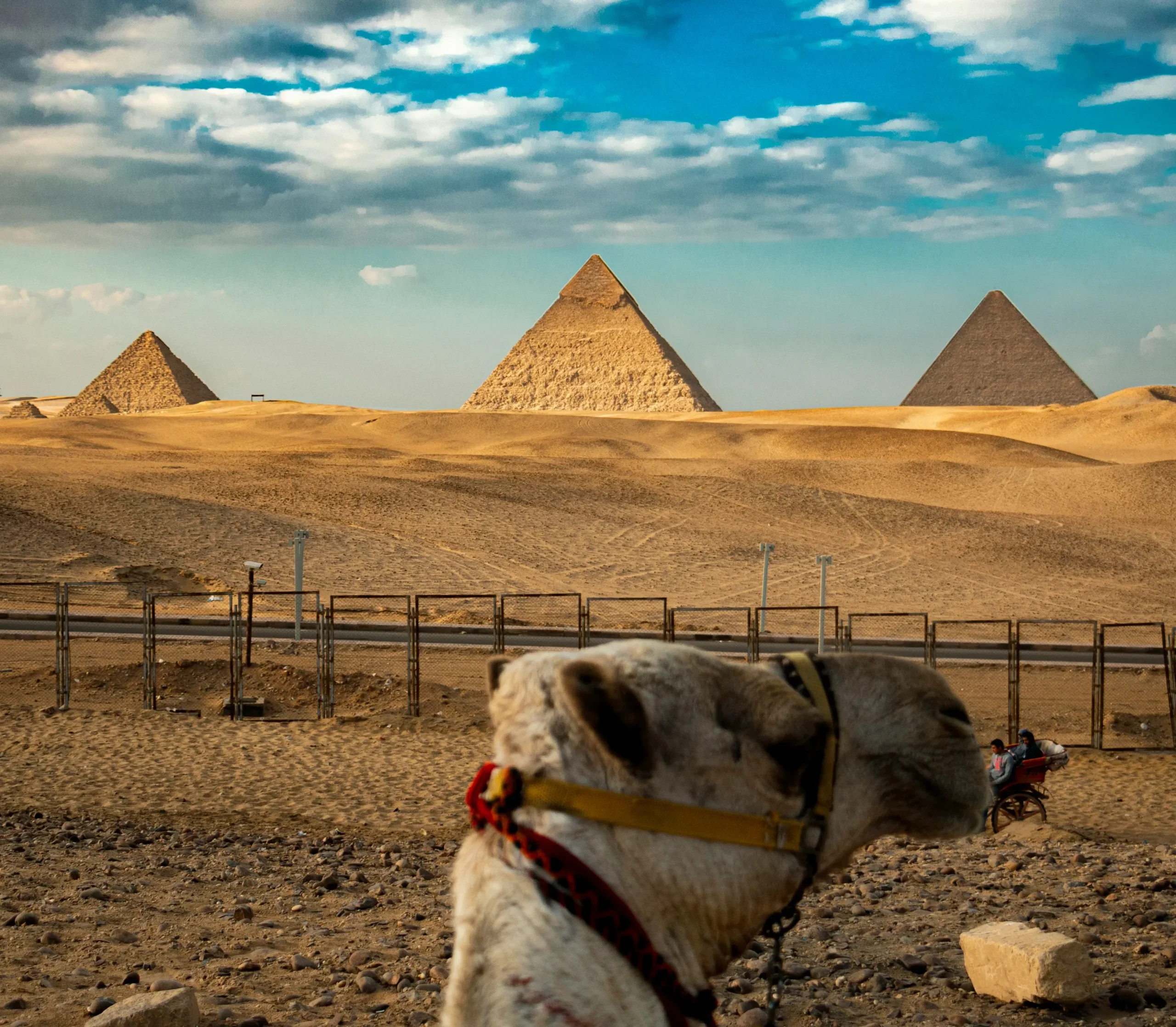 Tour to Giza Pyramids and Sphinx.