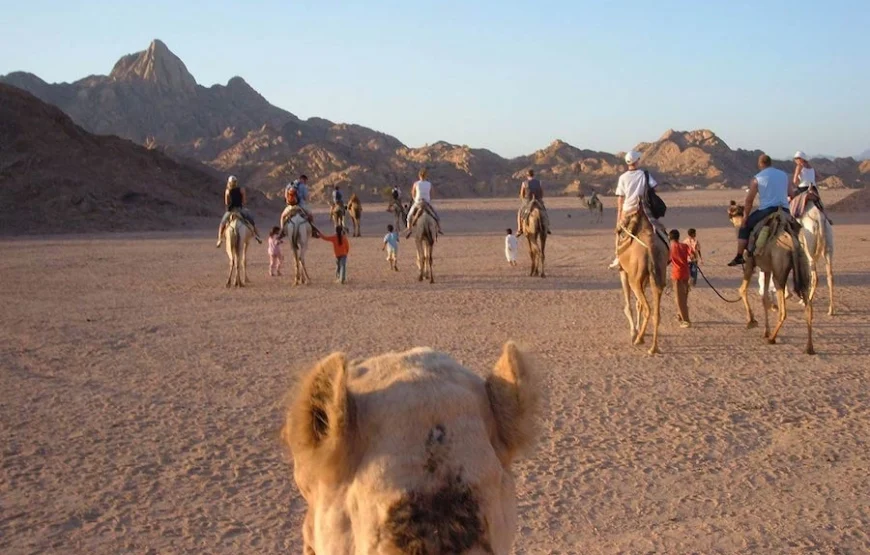 Super Safari Sharm El Sheikh