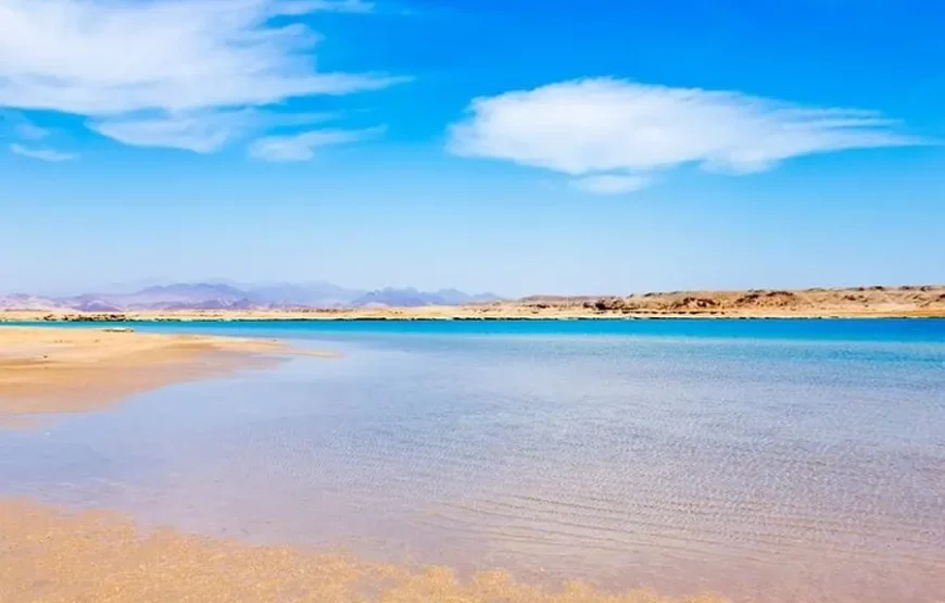 Ras Mohamed National Park Half-Day Tour by Bus from Sharm El Sheikh