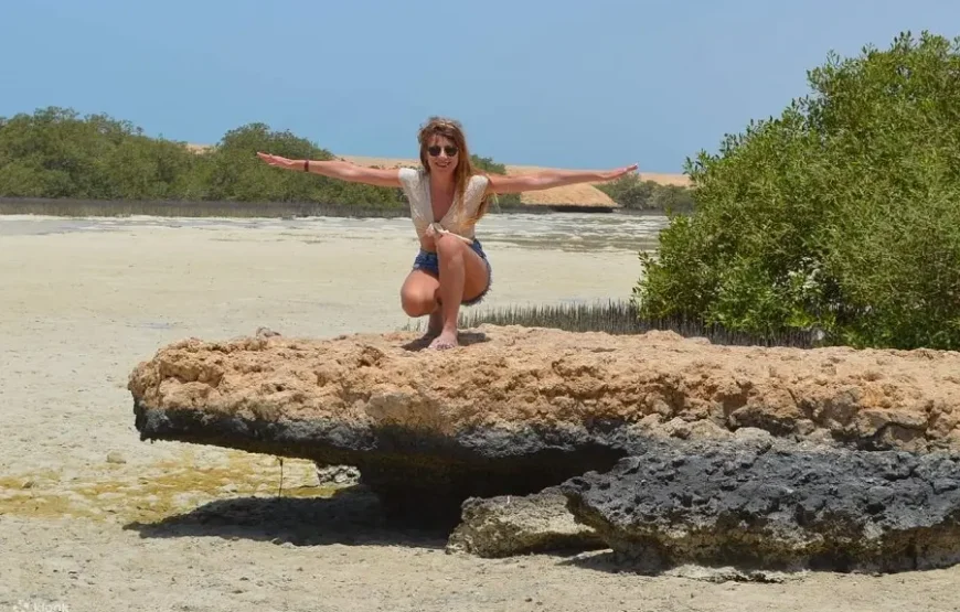 Ras Mohamed National Park Half-Day Tour by Bus from Sharm El Sheikh