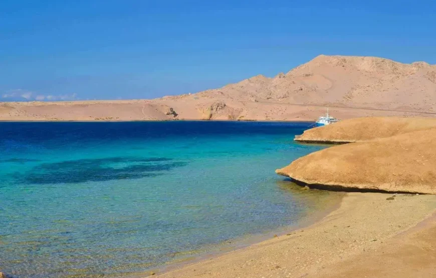 Ras Mohamed National Park Half-Day Tour by Bus from Sharm El Sheikh