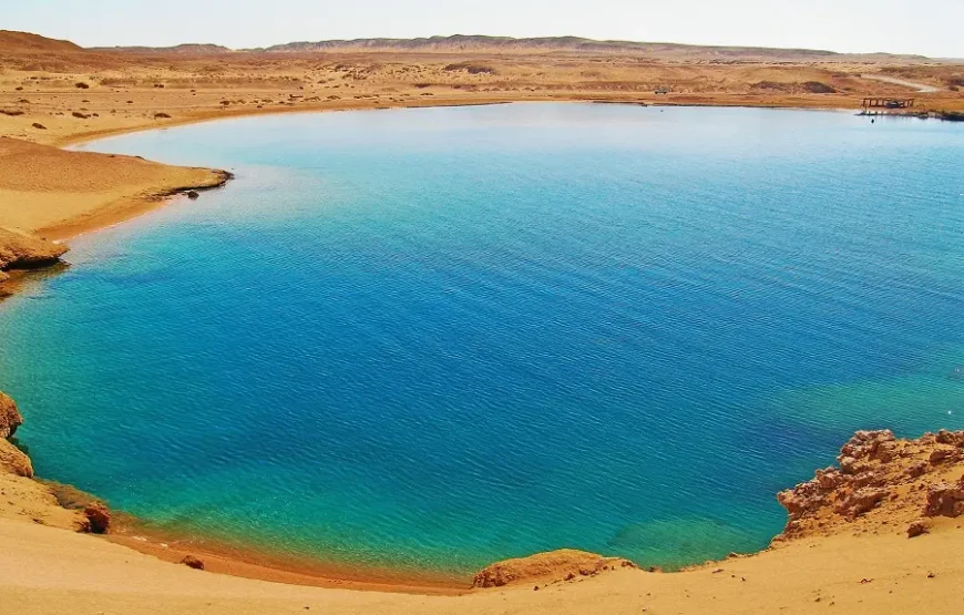 Ras Mohamed National Park Half-Day Tour by Bus from Sharm El Sheikh