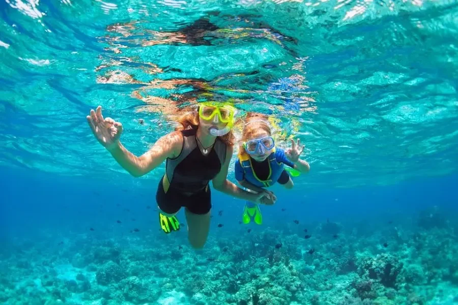 Ras Mohamed National Park Half-Day Tour by Bus from Sharm El Sheikh