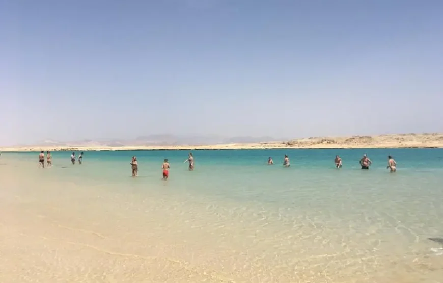 Ras Mohamed National Park Half-Day Tour by Bus from Sharm El Sheikh