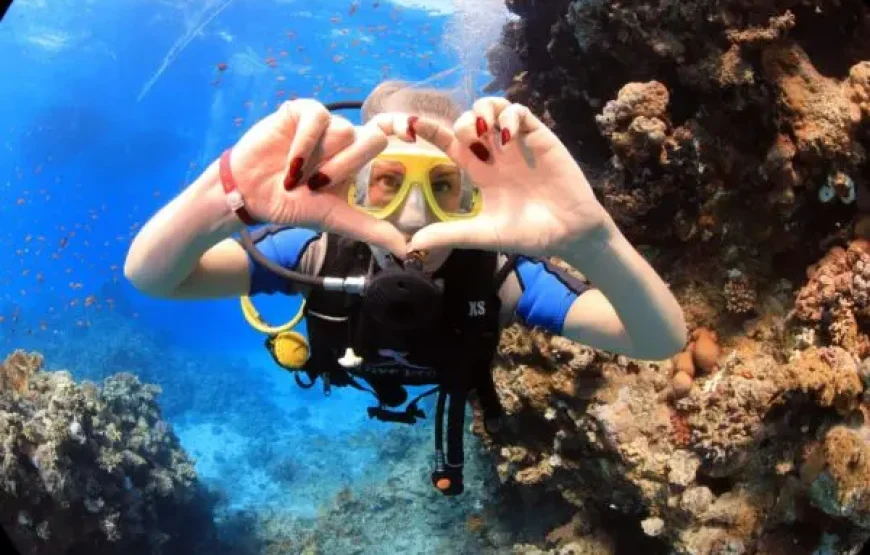 Diving and Parasailing in Sharm el Sheikh