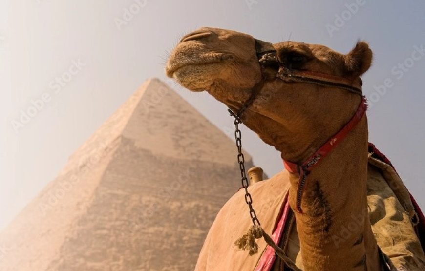 4 days cheap hotel  in cairo 5 stars package