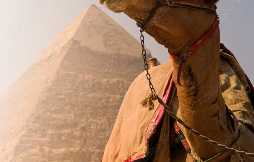 5 days cheap hotel  in cairo 4 stars package