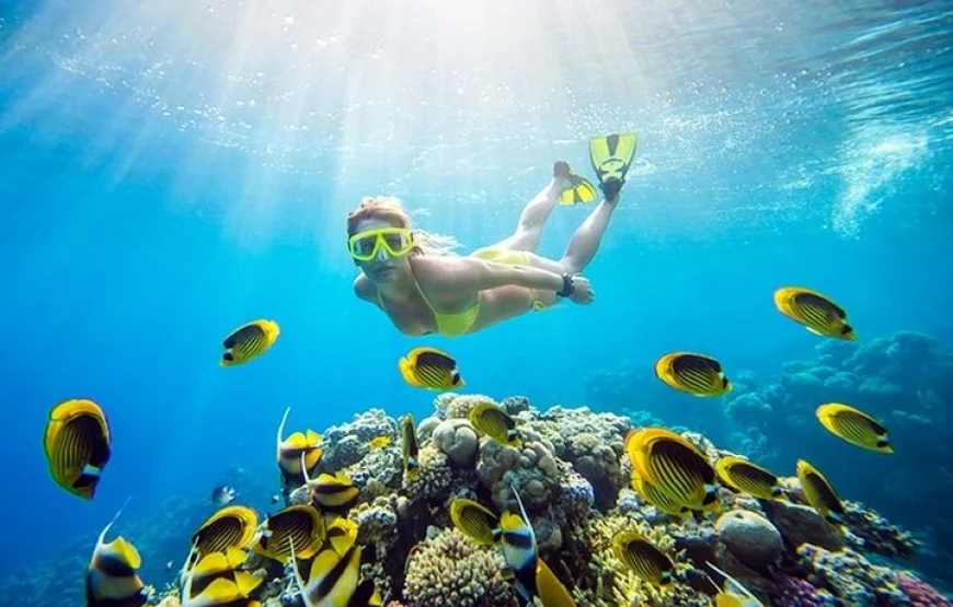 Private Snorkeling in Hurghada.