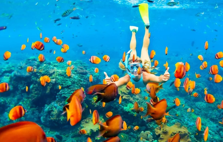 Private Snorkeling in Hurghada.