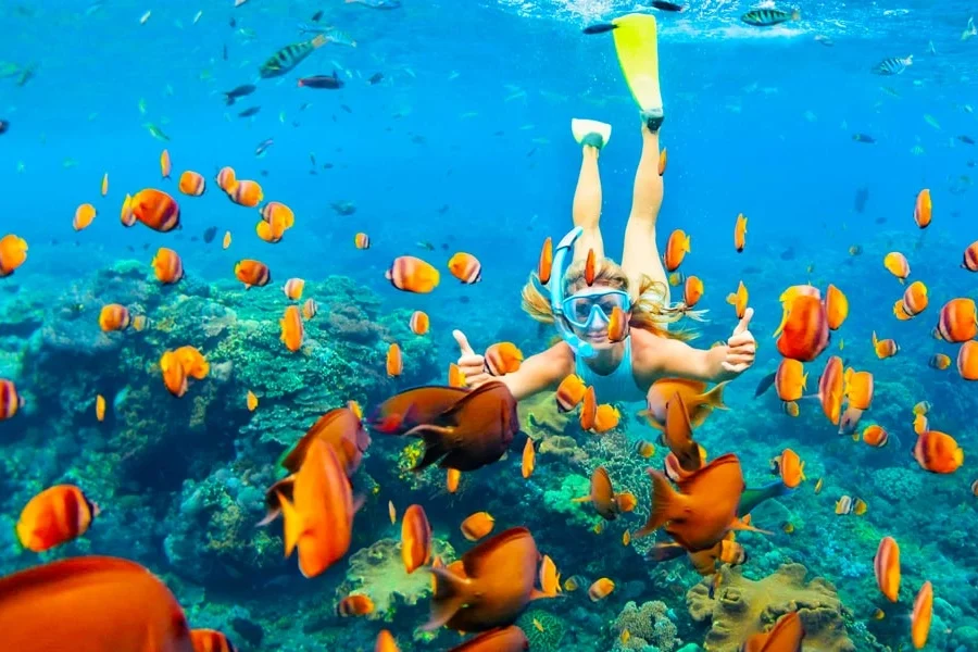 Private Snorkeling in Hurghada.