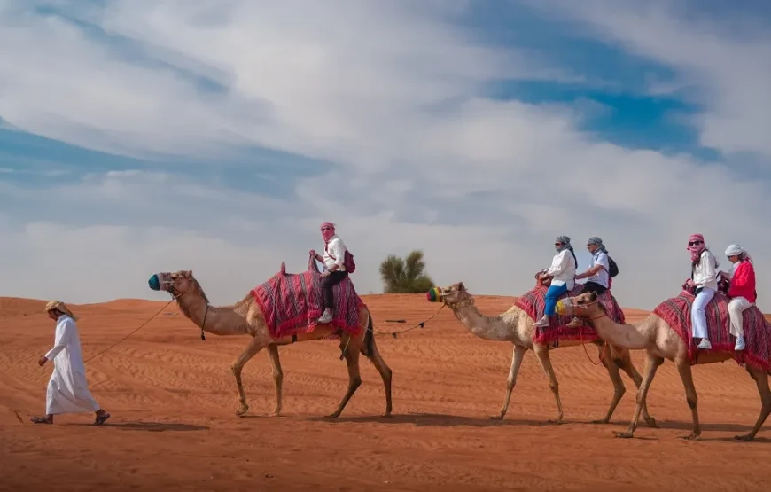 Book Classic Safari in Dubai.