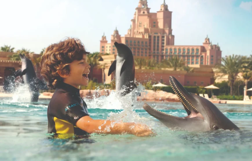 Book Swim with Dolphins in Dubai