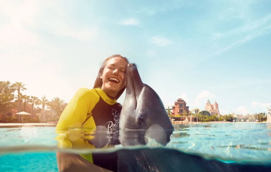 Book Swim with Dolphins in Dubai