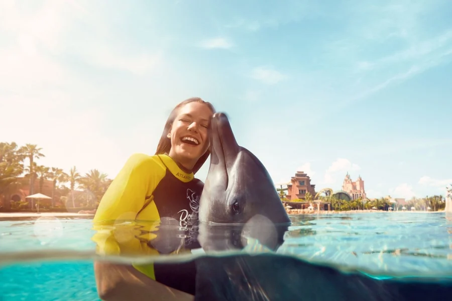 Book Swim with Dolphins in Dubai