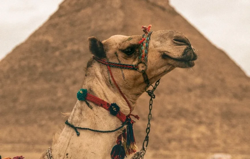 Overnight Trip to Cairo from Hurghada By Plane.