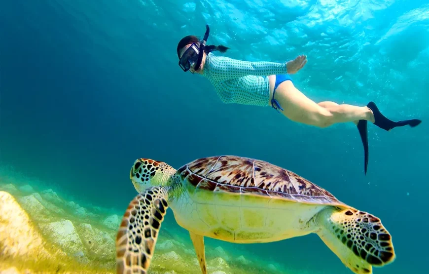 Private Snorkeling in Hurghada.